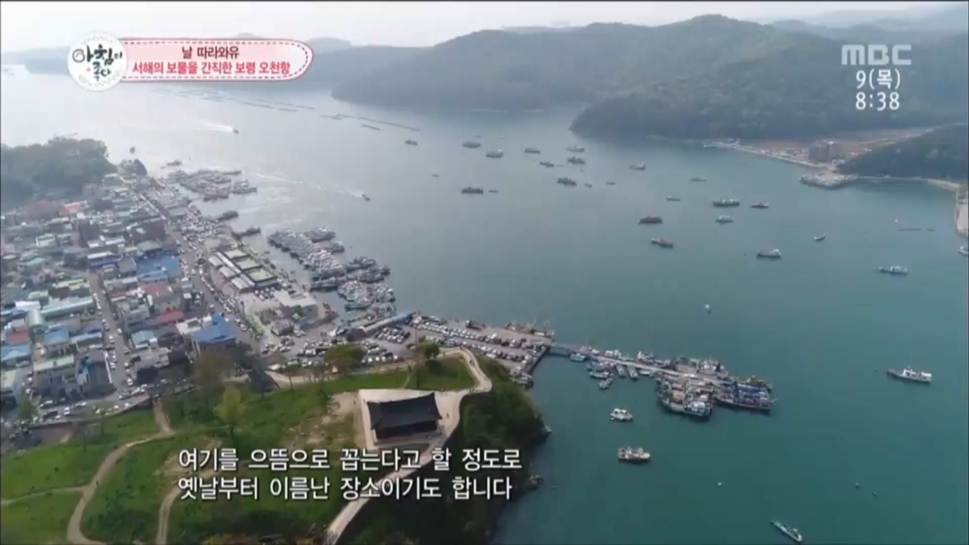 [0509 mbc 생방송 아침이 좋다]보령시 오천항 키조개